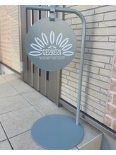 ガーベラ(Gerbera)/