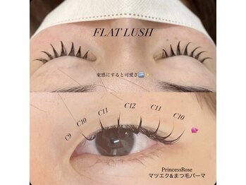 プリンセスローズ(Princess Rose)/フラットラッシュ 束感仕上げ