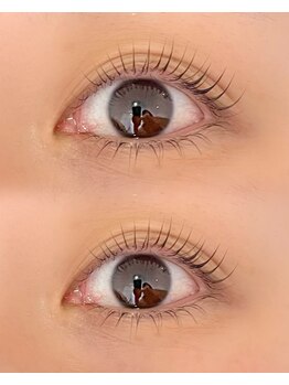 シャルフ(shalf)/