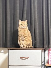 オフィスピースリー/