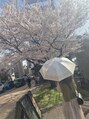 アイム 小倉店(i'm) 桜は毎年見に行ってます◎