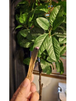 ミホズルーム(Miho‘s room)/高木パロサント★