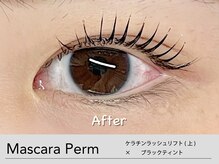 キンバリー 乃木坂店(KIMBERLY)/マスカラパーマ/ティントパーマ