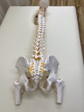 中野坂上整骨院/背骨動かせてますか？