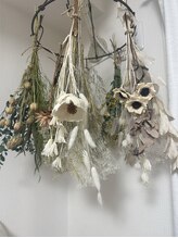 ホワイトディアー(White deer)&nbsp;SUGIMOTO 