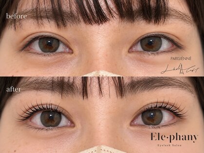 エレファニー(Ele phany)の写真