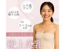 IBC 横浜馬車道店の雰囲気(終わった後のふわふわな触り心地に感動される方多数!)