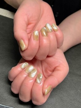 シェルミー(Shellmy)/マグネットワンカラー