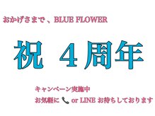 ブルーフラワー(BLUE FLOWER)