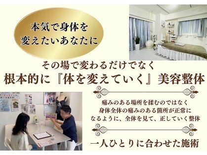 ハクト(HacT)の写真