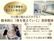 ハクト(HacT)の写真