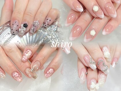 シロ(shiro)の写真