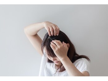 スーフラワー(SOO-flower)/頭皮の血行は結構大事！