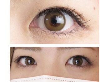 アム アイラッシュ(amu eye lash)/ラッシュリフト120本