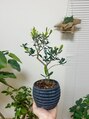 ロイスト 名古屋久屋大通店(Roist)&nbsp;観葉植物やお花が好きで、色々と育てています♪