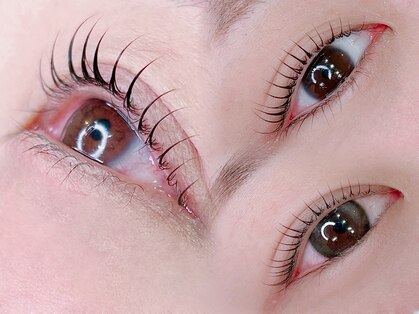 ブリリアントの写真