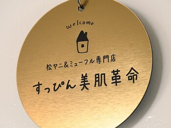 すっぴん美肌革命/すっぴん美肌革命・肌質根本改善