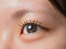 アーク(Arck)/Led120本