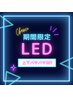 [期間限定★] *濃さ×持ち*LEDダブルフラット100束＋下40本　10,000円