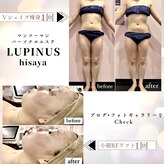 ルピナス ヒサヤ(LUPINUS hisaya)