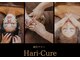 ハリキュア(Hari-Cure)の写真