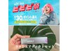 【ビビビ祭におすすめ】圧倒的持続力LEDマツエク100本×ラッシュアディクト
