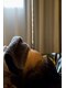 ノカ(noca)の写真/心身を解き放つ大人のためのサロン。静寂と選ばれた香りに包まれ、あなたのためだけに刻まれる極上の時間を