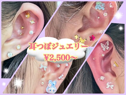 シード(SHE°)の写真