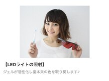 ビアンカ 小田原店(BIANCA)/