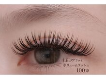 チック(chick)/LEDフラットボリューム100束