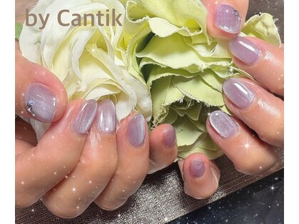チャンティー(Cantik)の写真