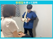 スッキリ整体院/骨模型を使って説明