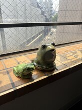 スナップストレッチ(Snap Stretch)/しし丸