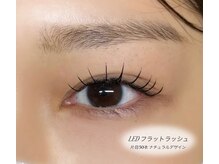 ココハナビ(KOKOHANABI)/LEDフラットラッシュ 片目50本