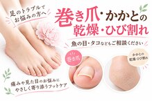 エム 平岸(M)