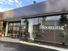 ブルーミングプラス 太田店(Blooming+)