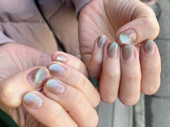 ネイルアルケー(Nail ARCHE)/マグネットネイル