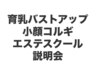 育乳バストアップ/小顔コルギ　メニュー導入エステスクール説明会