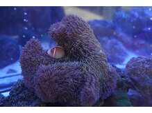 クリスタル(CRYSTAL)/癒しの空間