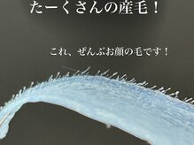 ベルード(veludo)