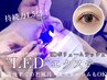 【LEDマツエク】3Dボリュームラッシュ165束(500本)
