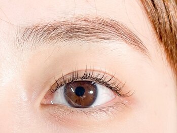 エイトラッシュ(8-lash)の写真/圧倒的キープ力が自慢★【ラッシュリフト×マツエク】がおススメ◎高い施術でキレイな目元がずっと続く♪