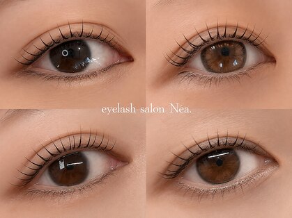 ネア(Nea)の写真