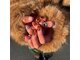 フルネイルズ(fulnails)の写真
