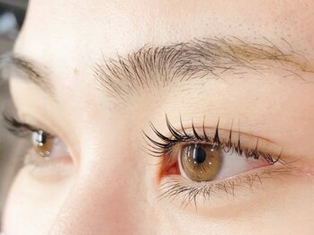 ティア 白山店(Tia)の写真/【まつげパーマ★ケラチンラッシュリフト¥5500】高技術×低単価★当日予約も大歓迎！