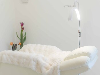 グリンプス(GLIMPSE)/GLIMPSE 店内