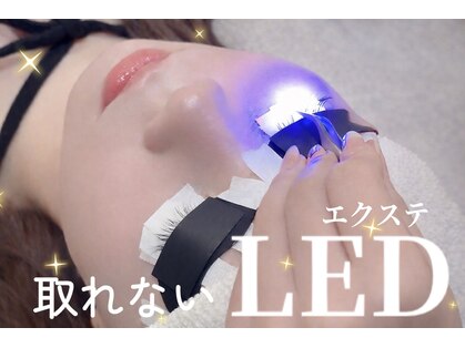 アンク(ank)の写真