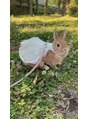 一花 うさんぽ中