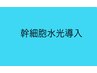 ↓↓ご新規様限定【国産100％幹細胞導入】下段 A～Cからお選び下さい！