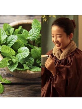 アロマリラクゼーションアンドよもぎ蒸し シェリー(cherie)/ペパーミント ハーブ蒸し